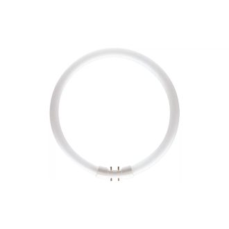 Philips TL-5C 40W/840 körfénycső 2GX13